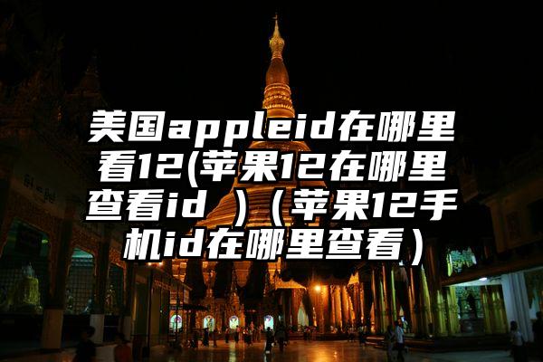 美国appleid在哪里看12(苹果12在哪里查看id )(苹果12手机id在哪里查看)