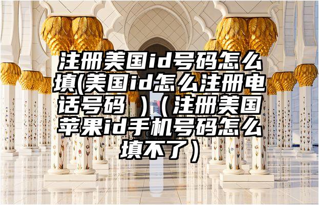 注册美国id号码怎么填(美国id怎么注册电话号码 )（注册美国苹果id手机号码怎么填不了）