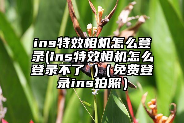 ins特效相机怎么登录(ins特效相机怎么登录不了 )(免费登录ins拍照)
