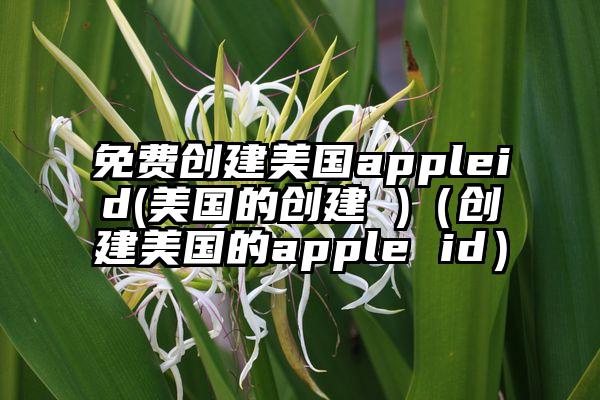 免费创建美国appleid(美国的创建 )（创建美国的apple id）
