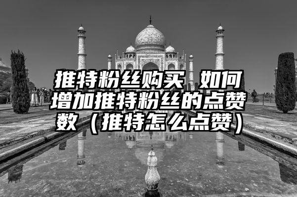 推特粉丝购买 如何增加推特粉丝的点赞数（推特怎么点赞）