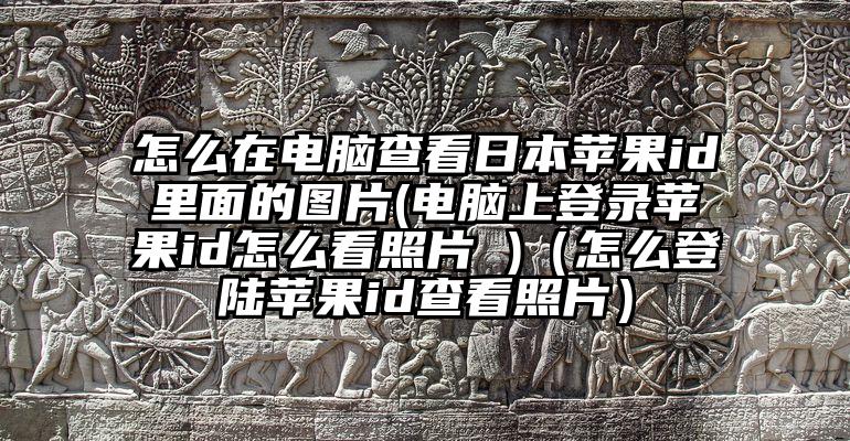 怎么在电脑查看日本苹果id里面的图片(电脑上登录苹果id怎么看照片 )（怎么登陆苹果id查看照片）