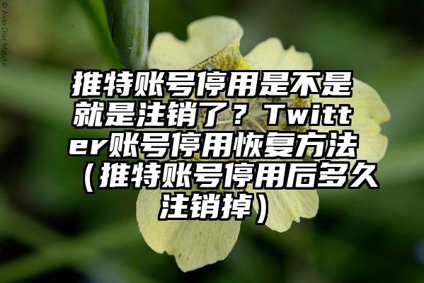 推特账号停用是不是就是注销了？Twitter账号停用恢复方法（推特账号停用后多久注销掉）