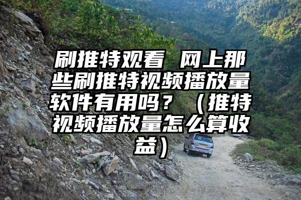 刷推特观看 网上那些刷推特视频播放量软件有用吗？（推特视频播放量怎么算收益）