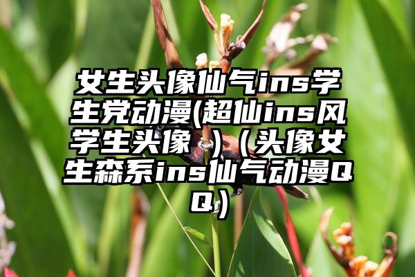 女生头像仙气ins学生党动漫(超仙ins风学生头像 )（头像女生森系ins仙气动漫QQ）