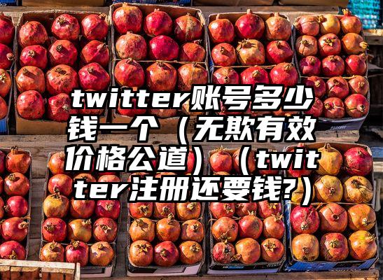 twitter账号多少钱一个（无欺有效价格公道）（twitter注册还要钱?）