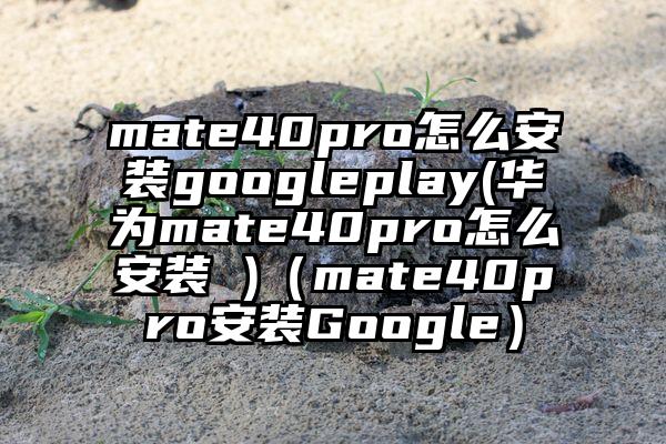 mate40pro怎么安装googleplay(华为mate40pro怎么安装 )（mate40pro安装Google）