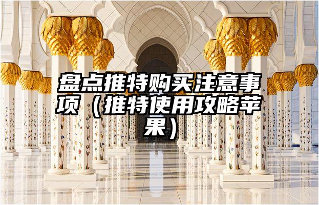 盘点推特购买注意事项（推特使用攻略苹果）