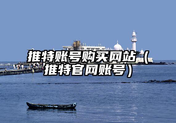 推特账号购买网站（推特官网账号）