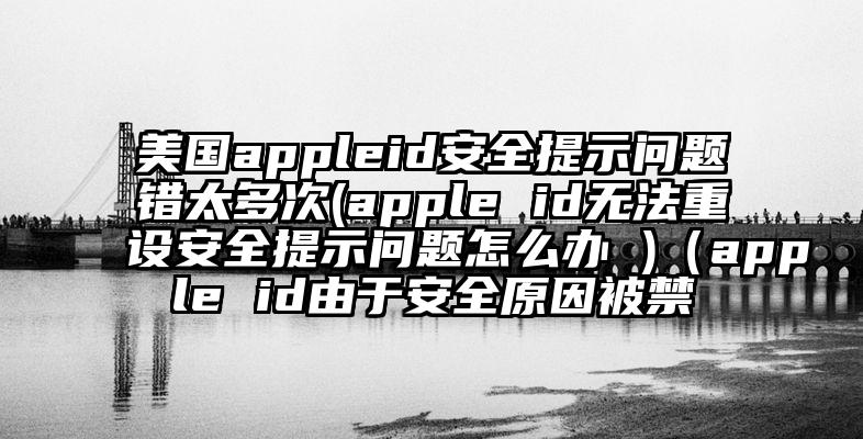 美国appleid安全提示问题错太多次(apple id无法重设安全提示问题怎么办 )（apple id由于安全原因被禁