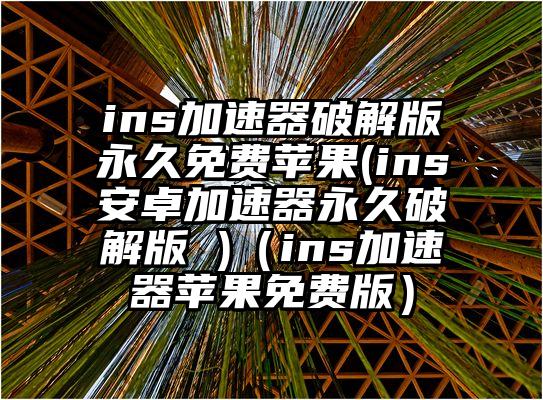 ins加速器破解版永久免费苹果(ins安卓加速器永久破解版 )（ins加速器苹果免费版）