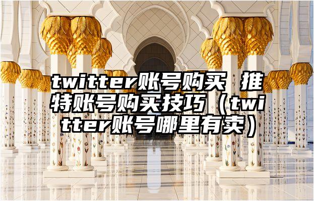 twitter账号购买 推特账号购买技巧（twitter账号哪里有卖）