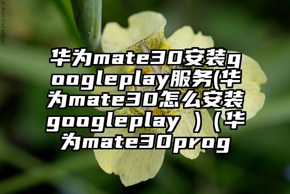 华为mate30安装googleplay服务(华为mate30怎么安装googleplay )（华为mate30prog