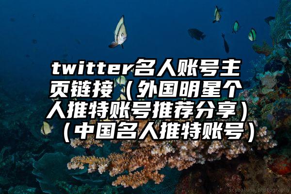 twitter名人账号主页链接（外国明星个人推特账号推荐分享）（中国名人推特账号）