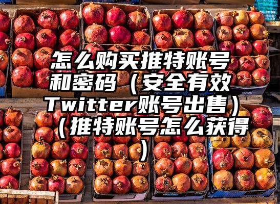 怎么购买推特账号和密码（安全有效Twitter账号出售）（推特账号怎么获得）
