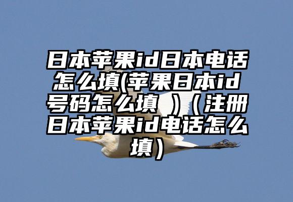 日本苹果id日本电话怎么填(苹果日本id号码怎么填 )(注册日本苹果id电话怎么填)