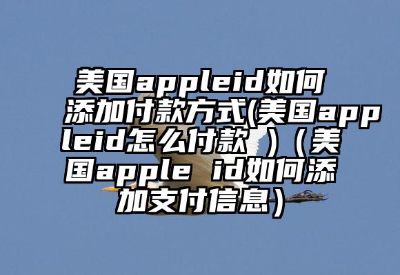 美国appleid如何添加付款方式(美国appleid怎么付款 )（美国apple id如何添加支付信息）