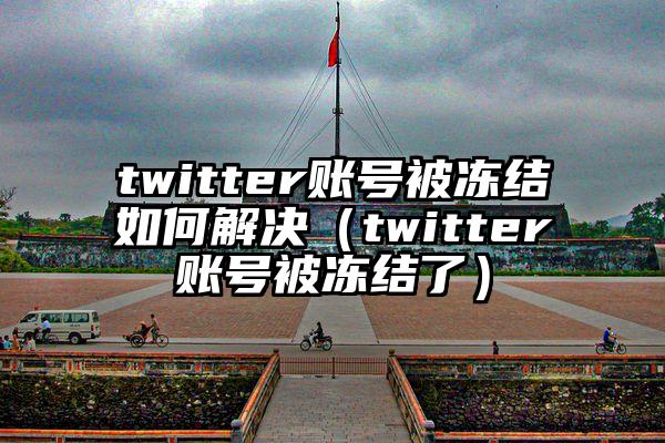twitter账号被冻结如何解决（twitter账号被冻结了）