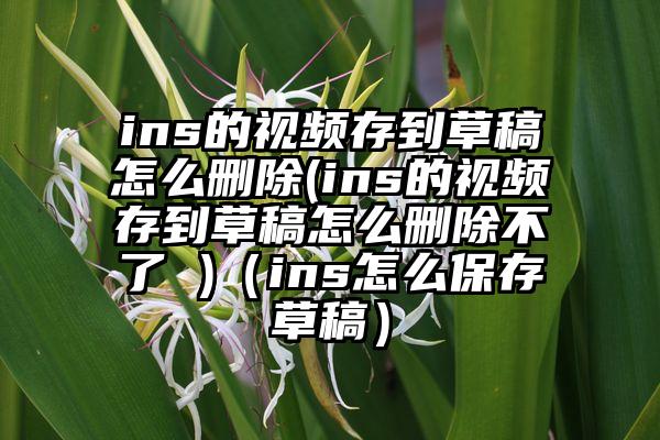 ins的视频存到草稿怎么删除(ins的视频存到草稿怎么删除不了 )（ins怎么保存草稿）