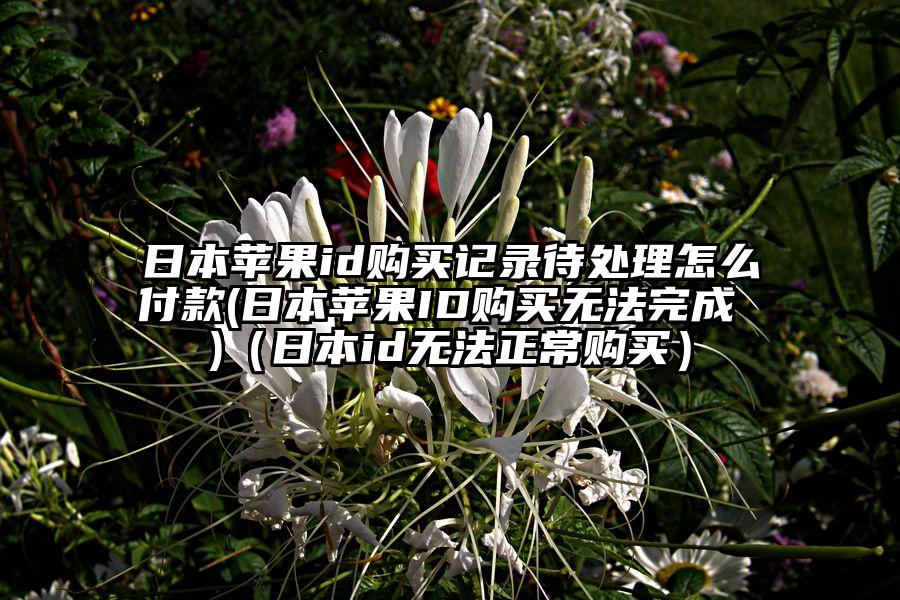 日本苹果id购买记录待处理怎么付款(日本苹果ID购买无法完成 )（日本id无法正常购买）