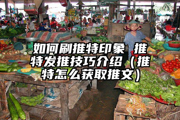 如何刷推特印象 推特发推技巧介绍（推特怎么获取推文）