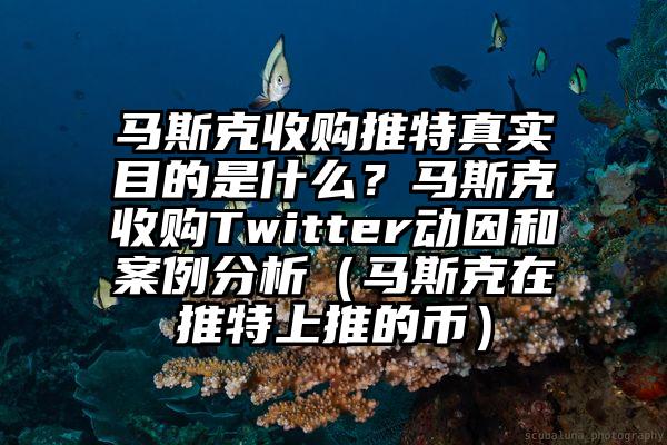 马斯克收购推特真实目的是什么？马斯克收购Twitter动因和案例分析（马斯克在推特上推的币）