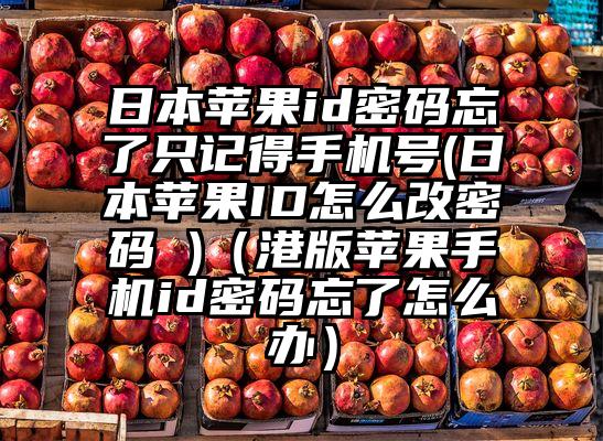 日本苹果id密码忘了只记得手机号(日本苹果ID怎么改密码 )（港版苹果手机id密码忘了怎么办）
