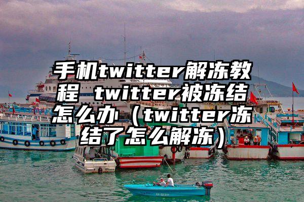 手机twitter解冻教程 twitter被冻结怎么办（twitter冻结了怎么解冻）