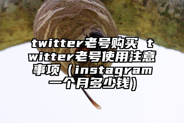 twitter老号购买 twitter老号使用注意事项（instagram一个月多少钱）