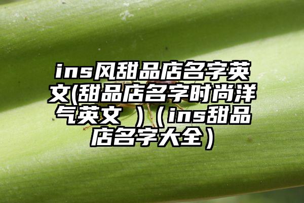 ins风甜品店名字英文(甜品店名字时尚洋气英文 )（ins甜品店名字大全）