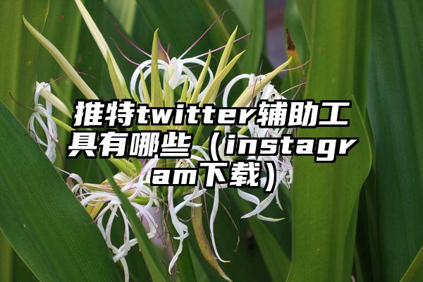 推特twitter辅助工具有哪些(instagram下载)