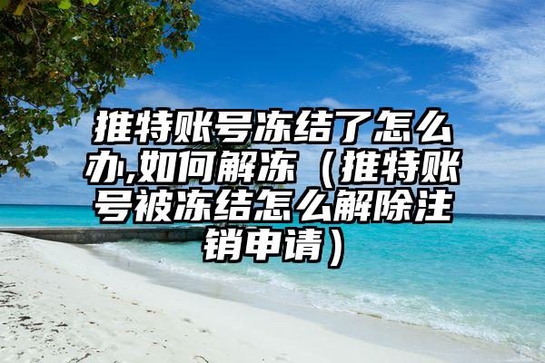 推特账号冻结了怎么办,如何解冻（推特账号被冻结怎么解除注销申请）