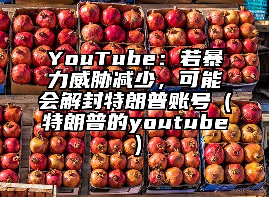 YouTube：若暴力威胁减少，可能会解封特朗普账号（特朗普的youtube）