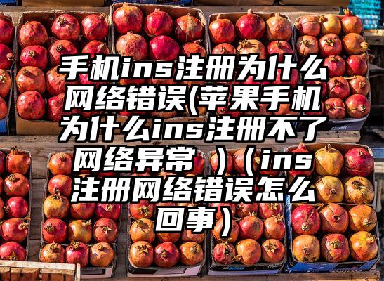 手机ins注册为什么网络错误(苹果手机为什么ins注册不了网络异常 )（ins注册网络错误怎么回事）