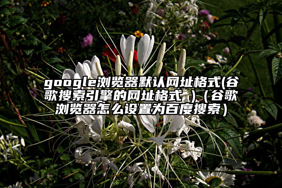google浏览器默认网址格式(谷歌搜索引擎的网址格式 )（谷歌浏览器怎么设置为百度搜索）
