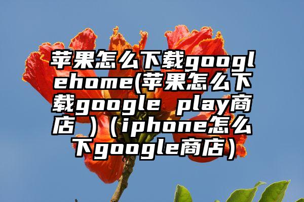 苹果怎么下载googlehome(苹果怎么下载google play商店 )（iphone怎么下google商店）