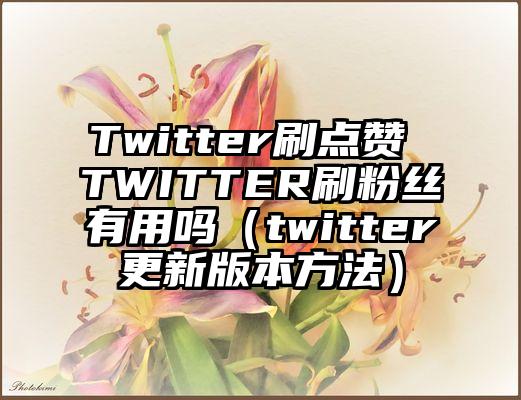 Twitter刷点赞 TWITTER刷粉丝有用吗（twitter更新版本方法）