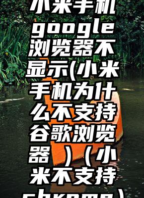 小米手机google浏览器不显示(小米手机为什么不支持谷歌浏览器 )（小米不支持chrome）