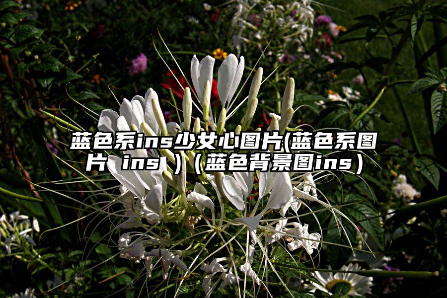 蓝色系ins少女心图片(蓝色系图片 ins )（蓝色背景图ins）