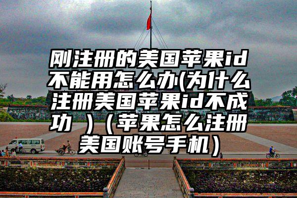 刚注册的美国苹果id不能用怎么办(为什么注册美国苹果id不成功 )（苹果怎么注册美国账号手机）