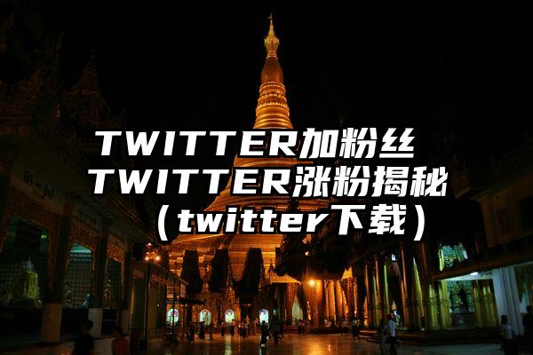 TWITTER加粉丝 TWITTER涨粉揭秘（twitter下载）