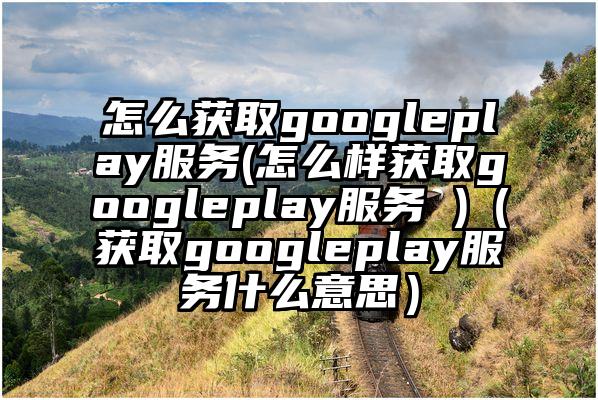 怎么获取googleplay服务(怎么样获取googleplay服务 )（获取googleplay服务什么意思）