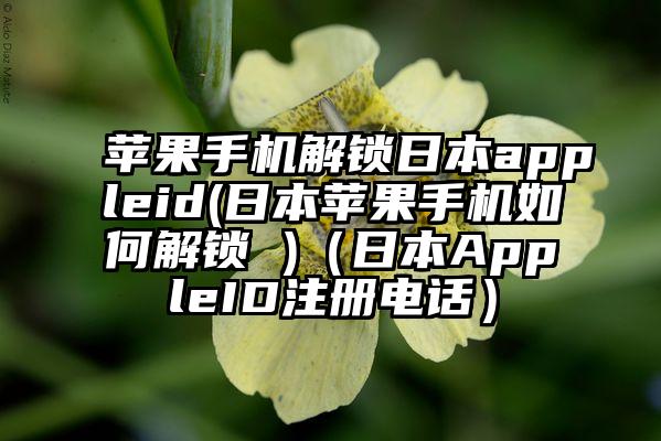 苹果手机解锁日本appleid(日本苹果手机如何解锁 )（日本AppleID注册电话）