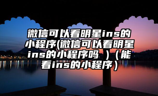 微信可以看明星ins的小程序(微信可以看明星ins的小程序吗 )（能看ins的小程序）