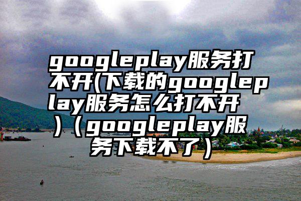 googleplay服务打不开(下载的googleplay服务怎么打不开 )（googleplay服务下载不了）