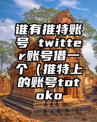 谁有推特账号 twitter账号借一个（推特上的账号totoko