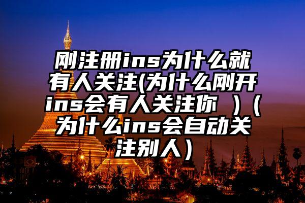 刚注册ins为什么就有人关注(为什么刚开ins会有人关注你 )（为什么ins会自动关注别人）