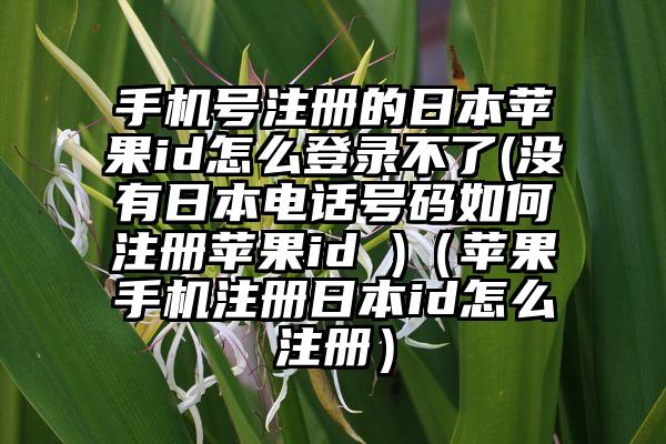 手机号注册的日本苹果id怎么登录不了(没有日本电话号码如何注册苹果id )（苹果手机注册日本id怎么注册）