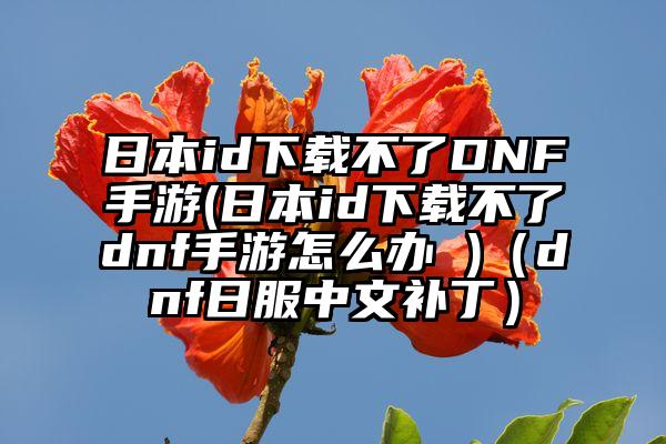 日本id下载不了DNF手游(日本id下载不了dnf手游怎么办 )（dnf日服中文补丁）