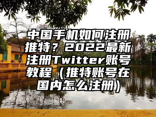 中国手机如何注册推特?2022最新注册Twitter账号教程(推特账号在国内怎么注册)